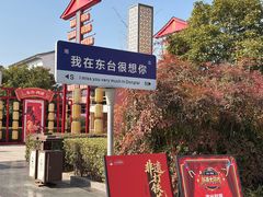 -东台西溪天仙缘景区