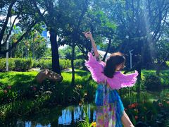 -人民公园(罗湖区)