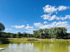 -永定河休闲森林公园