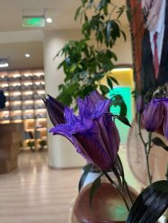 -小颜秘家·韩国整骨