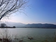 -长兴太湖图影湿地文化园