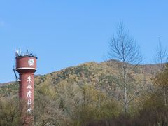 -横道河子东北虎林园