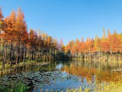 -南京银杏湖乐园