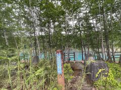 -青池
