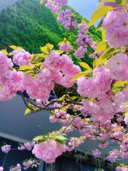 -WAVE SODA摄影工作室