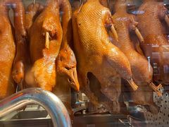 -陈鹏鹏潮汕菜(宝安机场T3航站楼店)