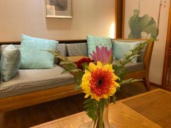 -广州萨谛艾扬格瑜伽中心