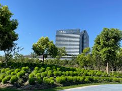 -春花秋色城市公园