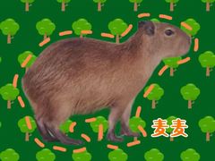 -海南热带野生动植物园