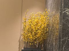 -同庆楼(奥体中心店)