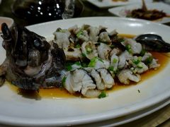 清蒸石斑鱼-金时代顺风大酒店(协泰店)