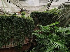 -金稼园·金平湖农家菜