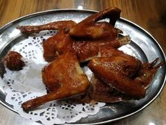 -南海鸽天下(肇庆店)