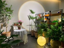 -芳香乐府疗愈空间·SPA·冥想