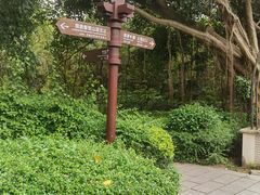 -大屏嶂森林公园