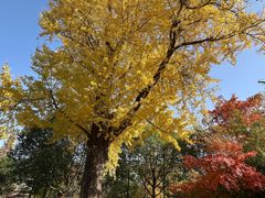 -狼山风景名胜区