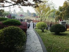 -洪湖悦兮半岛国际温泉度假村