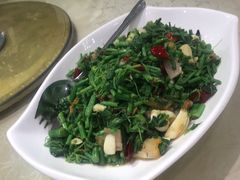 -刘胖子家常菜·蹄花焖藕(中南店)