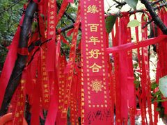-伏羲大峡谷