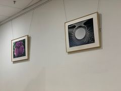 -Sony Store 索尼(上海淮海中路店)