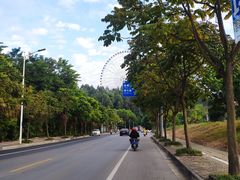 -凤岭儿童公园