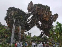 -奥兰多迪士尼动物王国乐园