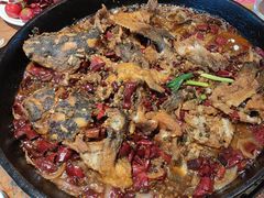 -老板恋上鱼(恒隆广场店)