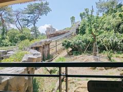 -宁波野生动物园