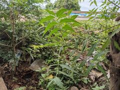 -维乐口腔医院(福清院)