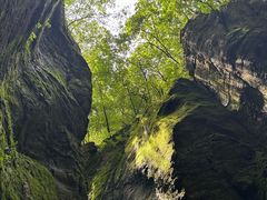 -牛背梁国家森林公园