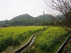 -红山村