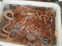 -江杨农产品批发市场