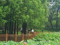 -黄兴公园