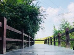 -九里河湿地公园