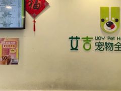 -艾吉宠物医院·疑难杂症转诊中心·猫友好(碧江路院)