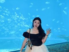 -南昌融创海世界