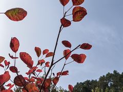 -北京西山国家森林公园