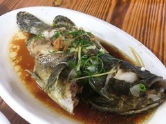 清蒸石斑鱼-板桥海鲜广场(文明东店)