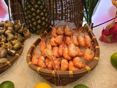 -怡聚轩全日制自助餐厅(大中华喜来登酒店)