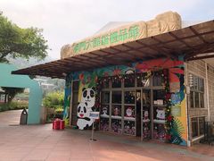 -石排湾郊野公园