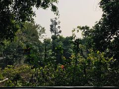 -华侨城湿地公园