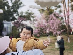 -南山植物园