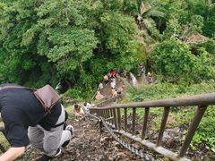 -七仙岭温泉国家森林公园
