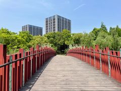 -南翔镇银翔湖公园