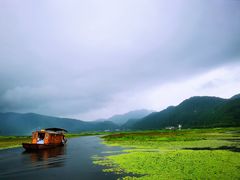 -腾冲北海湿地