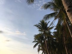 -白沙滩