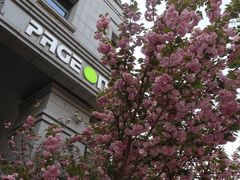 -PAGEONE(北京坊店)