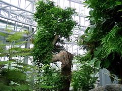 -郑州植物园