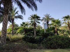 -瑶湖郊野森林公园