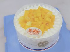 -维尔纳斯·生日蛋糕·动物奶油冰淇淋蛋糕(六里桥店)